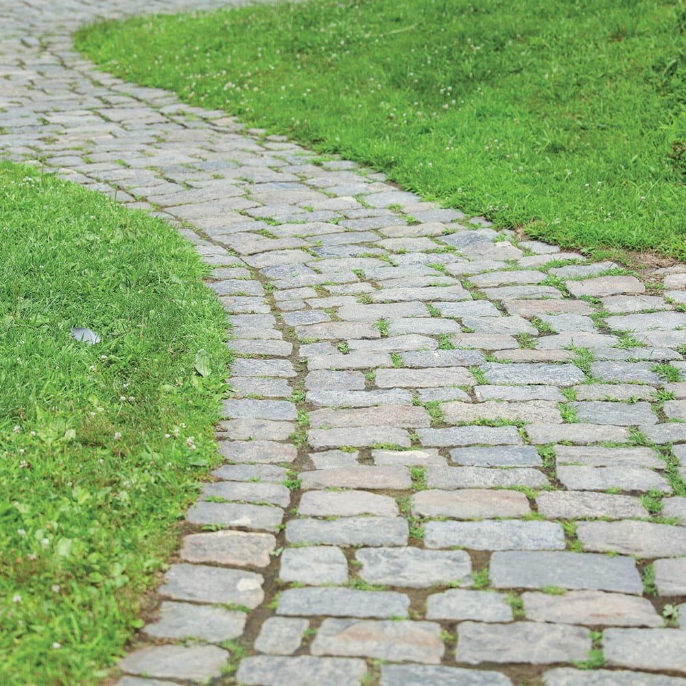 A granite garden pathway lined with lush green grass, creating a serene outdoor walking experience