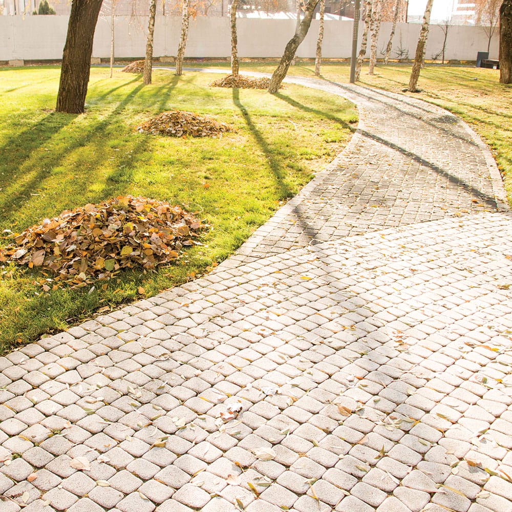 Scenic paved path with trees and a bench, showcasing granite pedestrian walkways for leisurely strolls