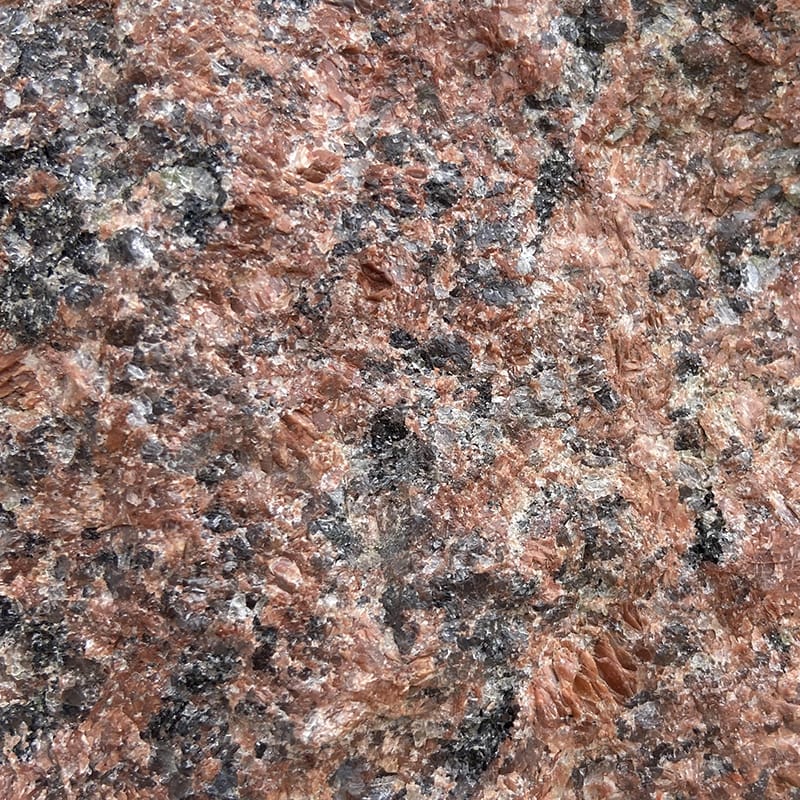 Detailed view of a rock with small black and white spots, highlighted by the striking red vanga color surrounding it