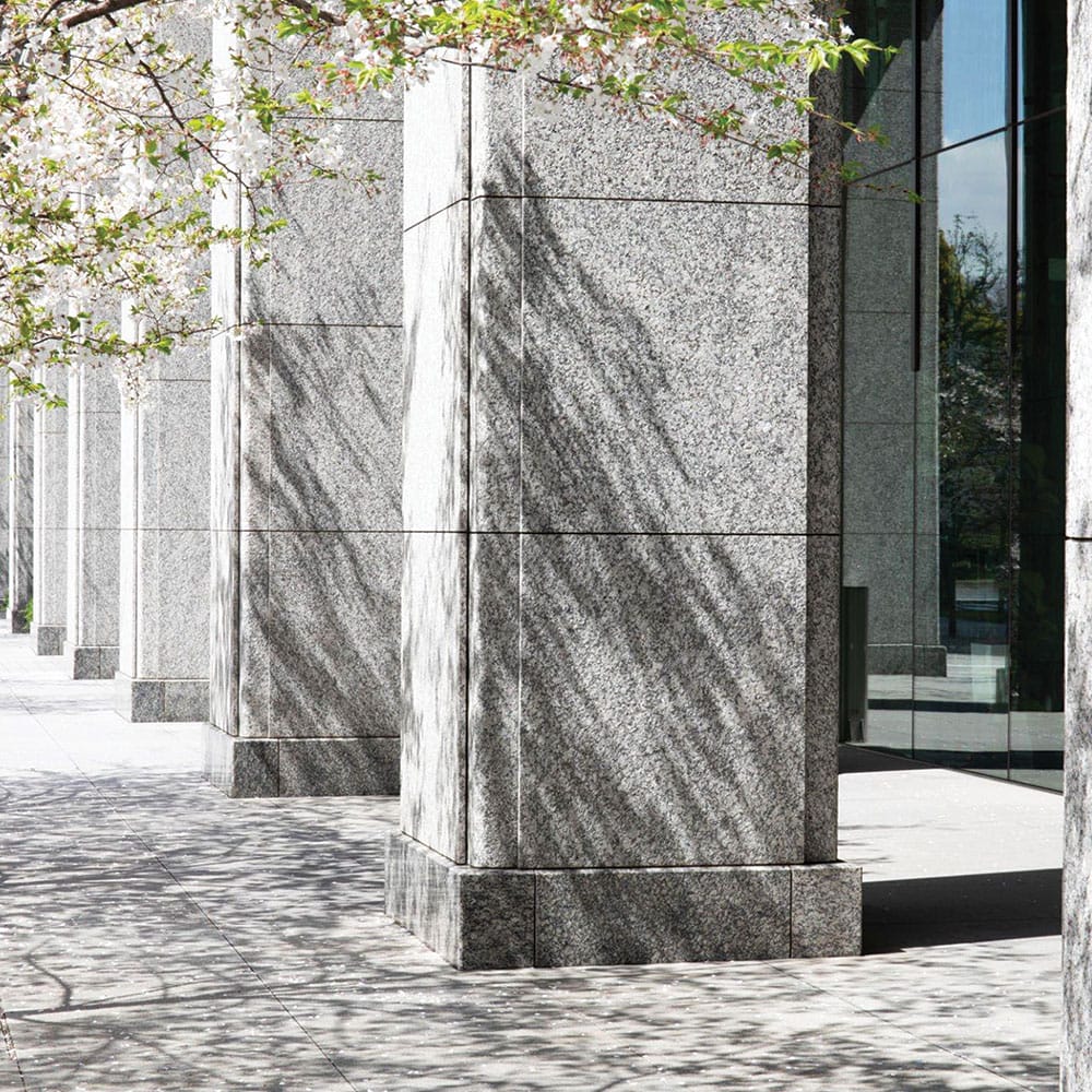 Granite building facade with shadows of trees on a sunny day