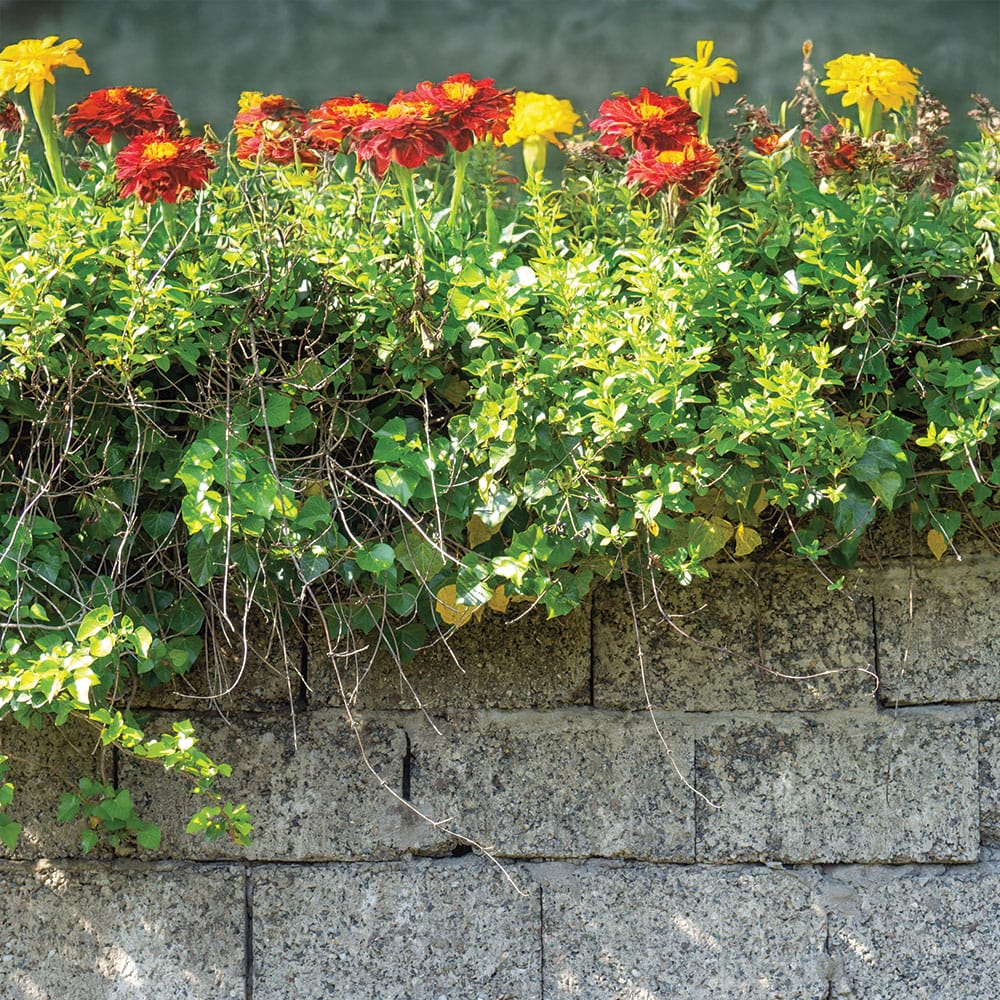 A flower bed bursting with yellow and red blooms, framed by a stylish granite wallstone landscaping element.