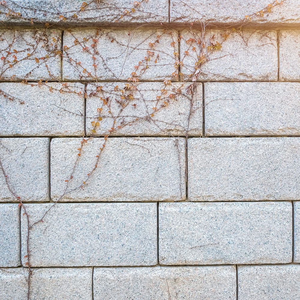 A granite stone wall adorned with lush green vines climbing its surface, showcasing nature's beauty and resilience